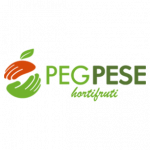 pegpese-home-01